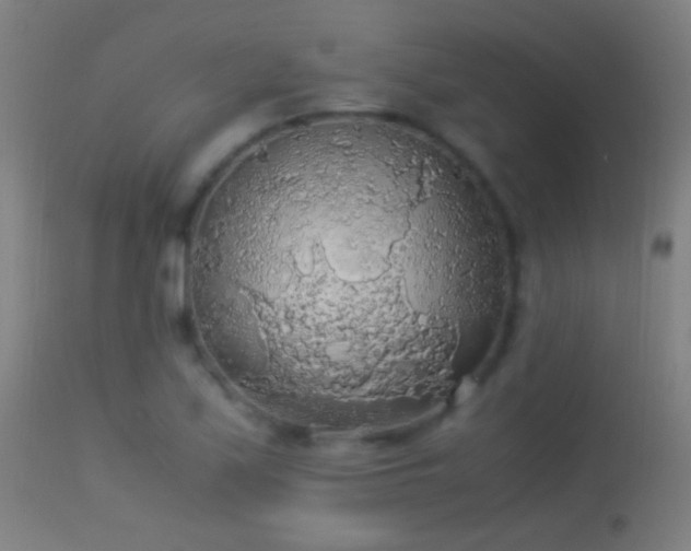 X0000114171171200910151630