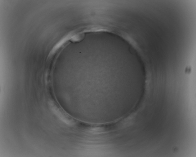 X0000114171173200910151630