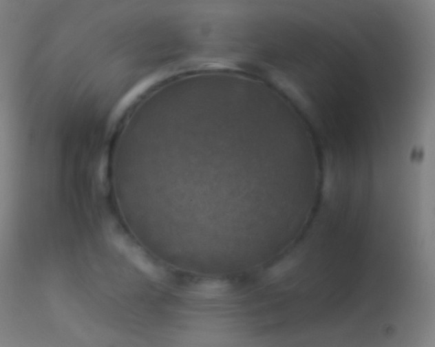 X0000114171174200910151630