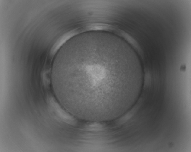 X0000114171178200910151630