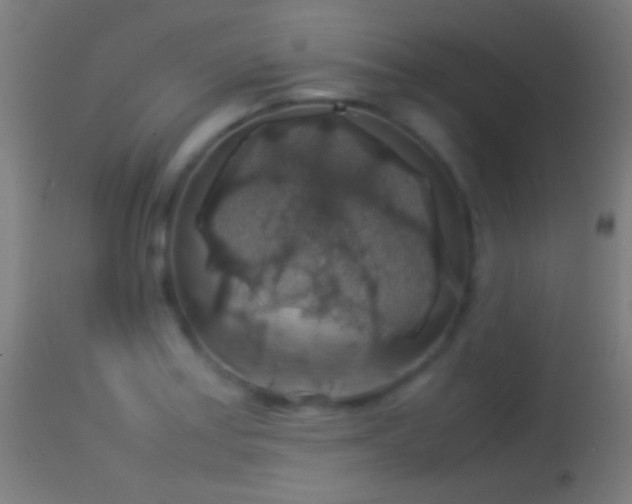 X0000114171179200910151630