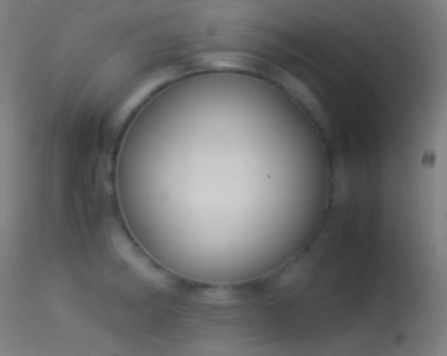 X0000114171182200910151630