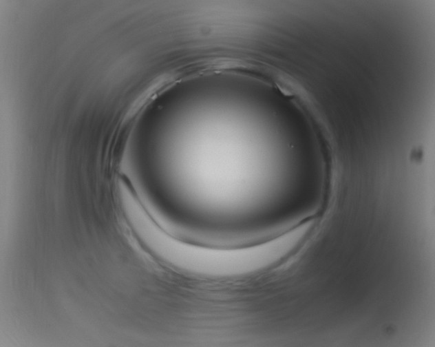 X0000114171185200910151630