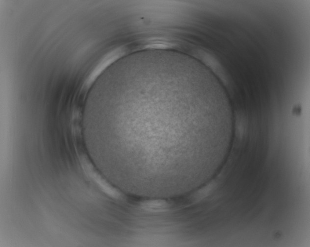 X0000114171186200910151630