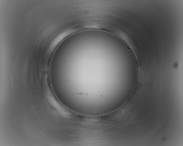 X0000114171187200910151630