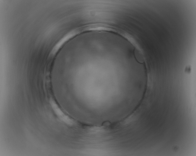 X0000114171189200910151630