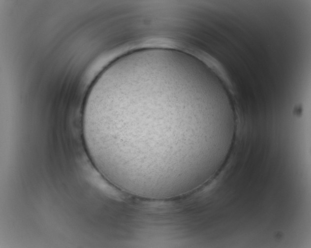 X0000114171192200910151630
