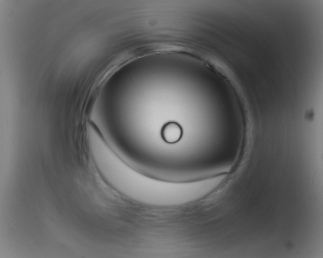 X0000114171193200910151630