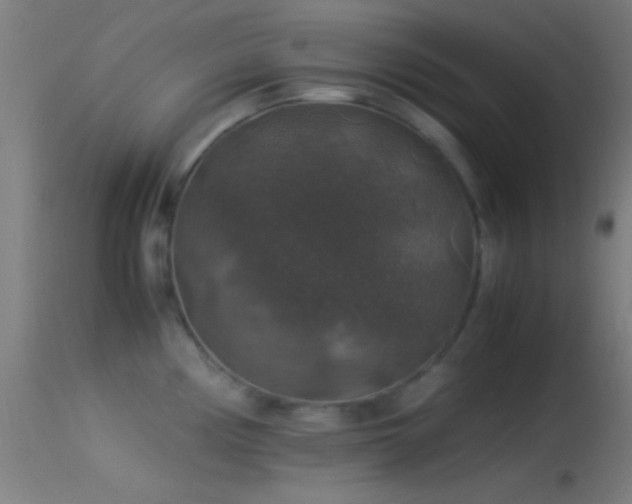 X0000114171194200910151630