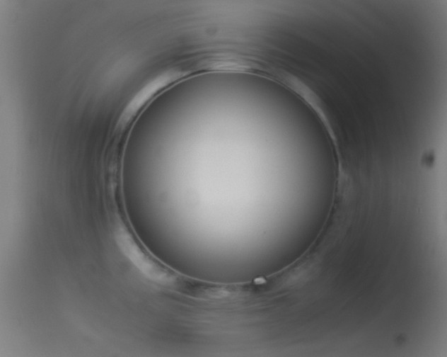 X0000114171195200910151630