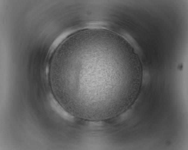 X0000114171196200910151630