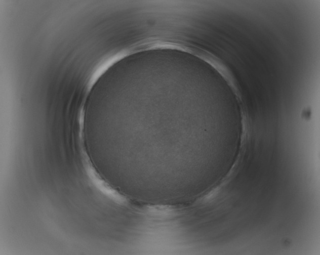 X0000114171198200910151630