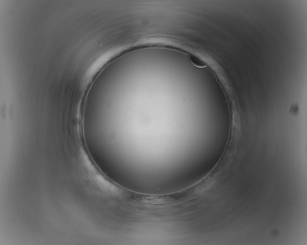 X0000114171199200910151630
