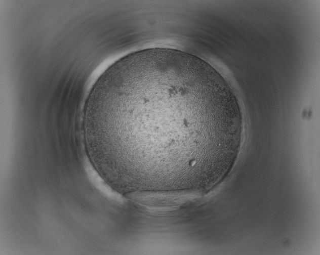 X0000114171200200910151630
