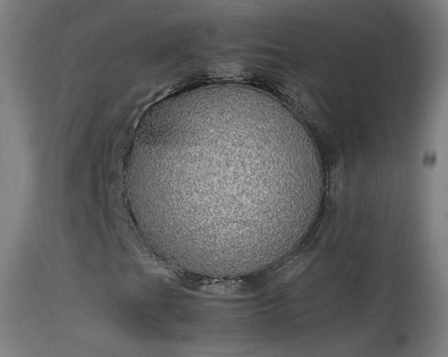 X0000114171201200910151629