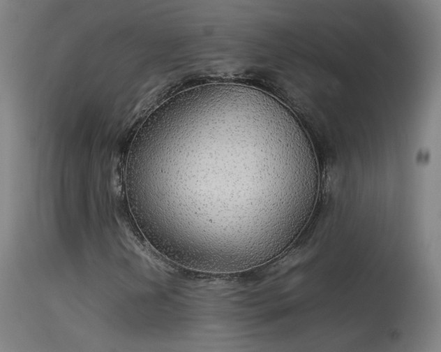 X0000114171202200910151629