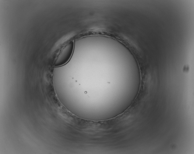 X0000114171207200910151629