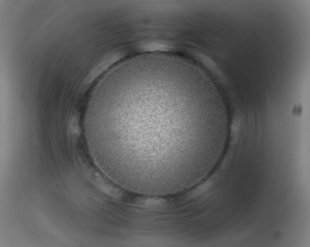 X0000114171209200910151629