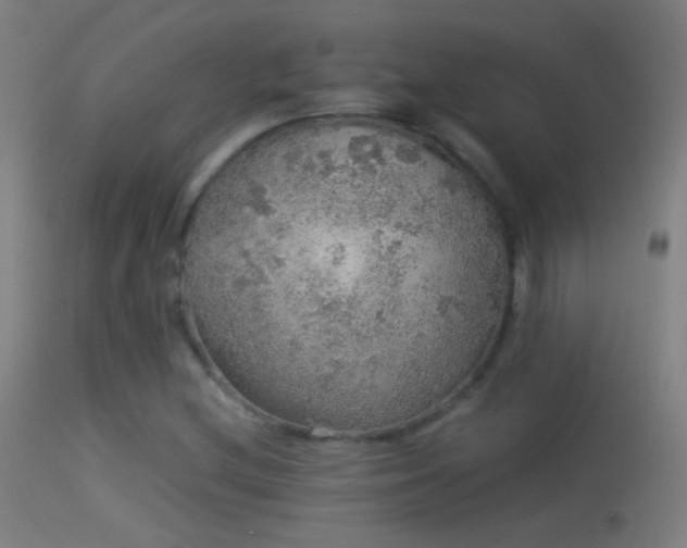 X0000114171212200910151629