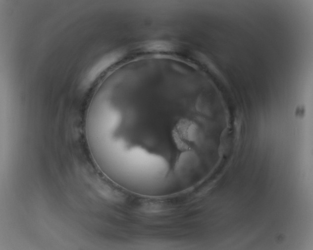 X0000114171213200910151629