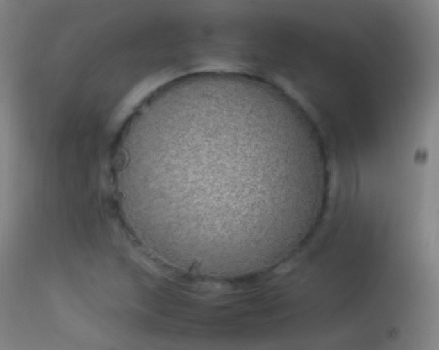 X0000114171215200910151629
