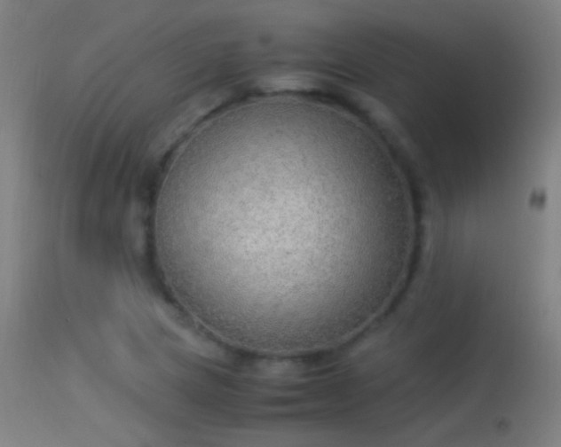 X0000114171217200910151629