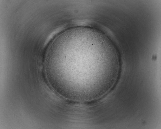 X0000114171218200910151629