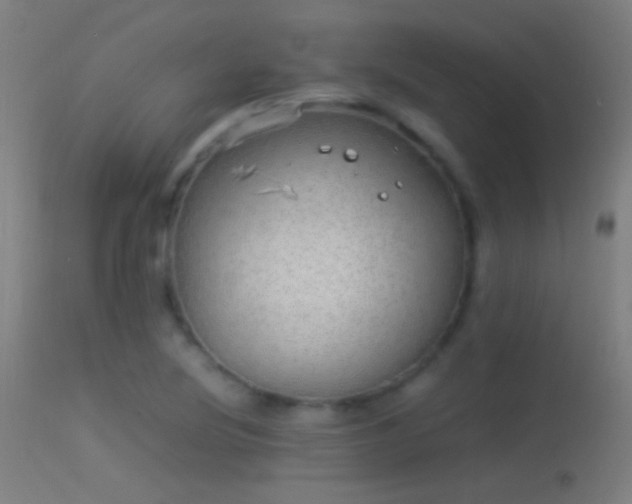 X0000114171220200910151629