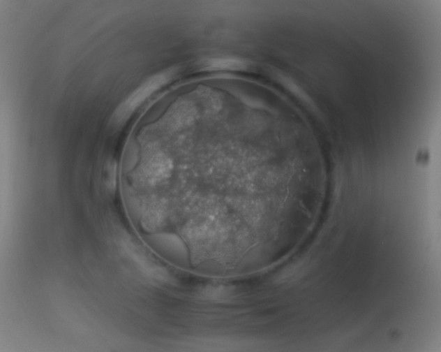 X0000114171221200910151629