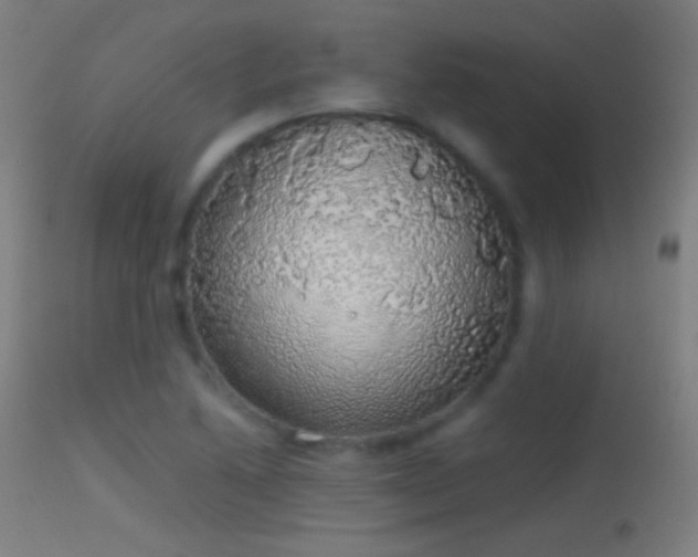 X0000114171222200910151629