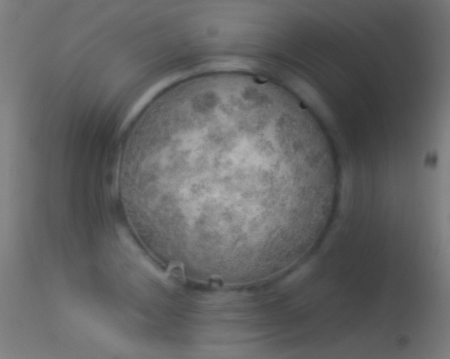 X0000114171228200910151629