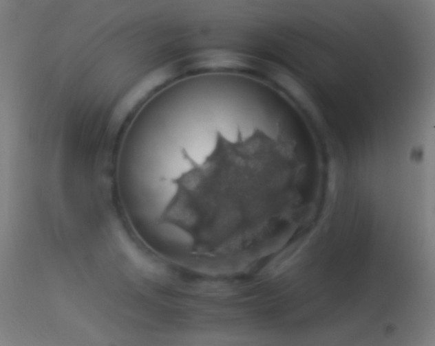 X0000114171229200910151629