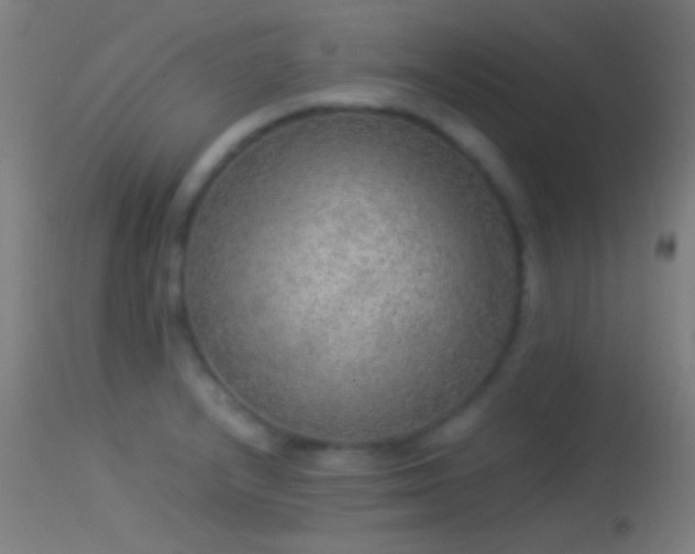 X0000114171232200910151629