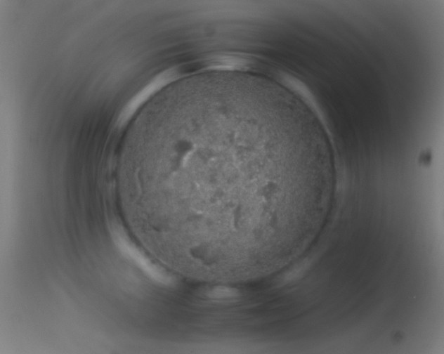 X0000114171235200910151629