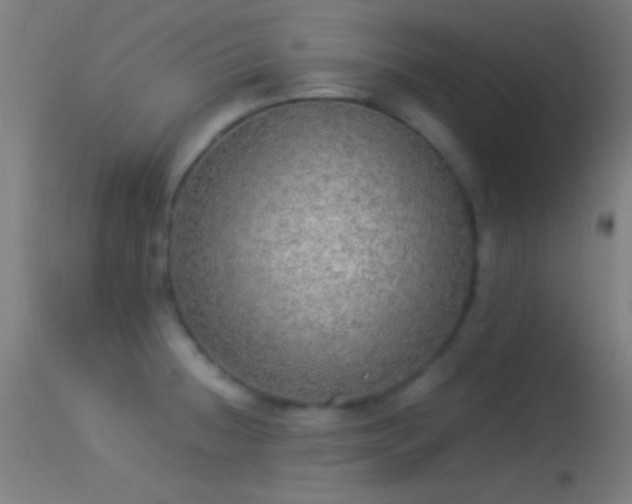 X0000114171236200910151629