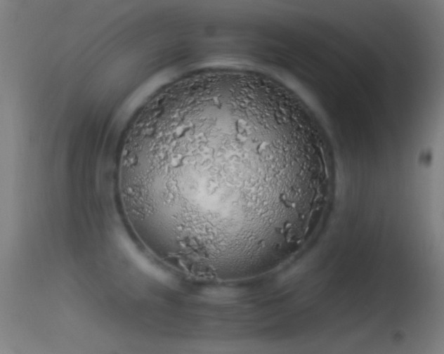 X0000114171237200910151629