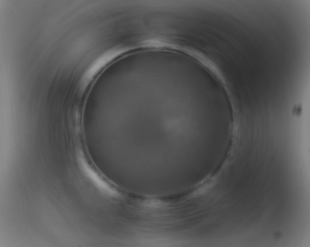 X0000114171239200910151629