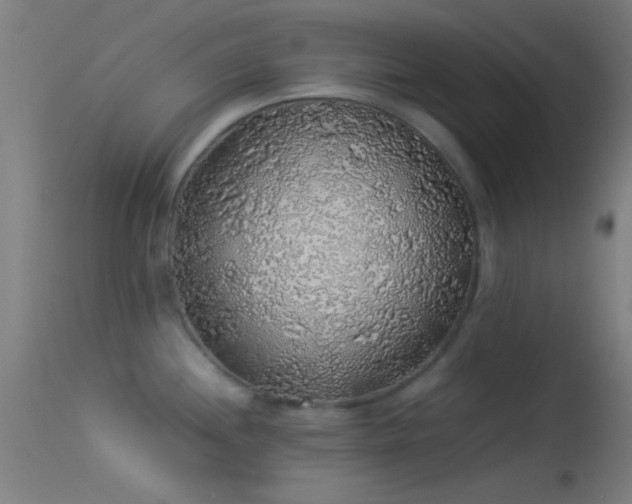 X0000114171244200910151629