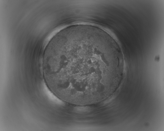 X0000114171247200910151629