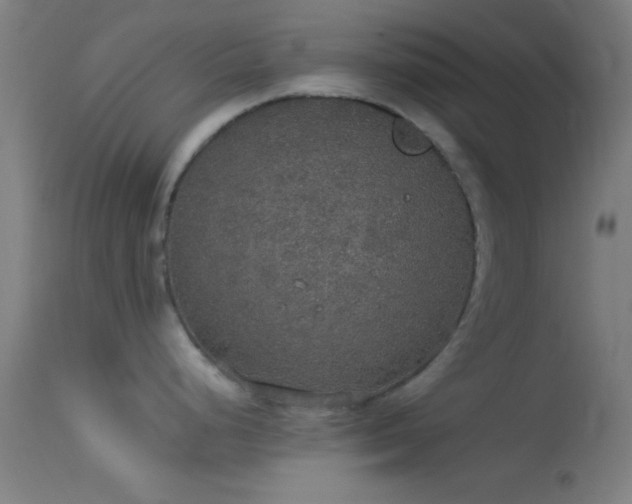 X0000114171248200910151630