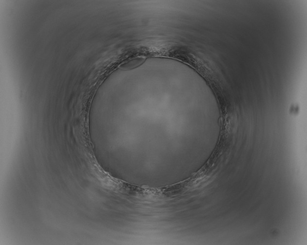 X0000114171249200910151629