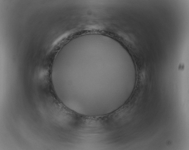 X0000114171254200910151629