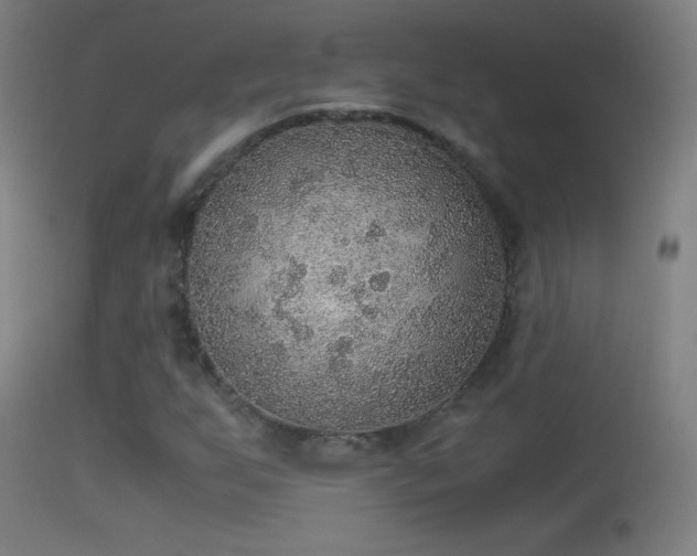 X0000114171255200910151629