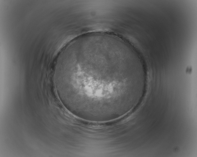 X0000114171257200910151629