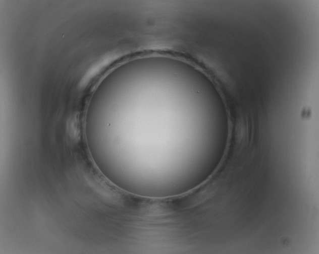 X0000114171262200910151628