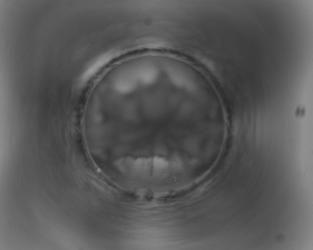 X0000114171263200910151628