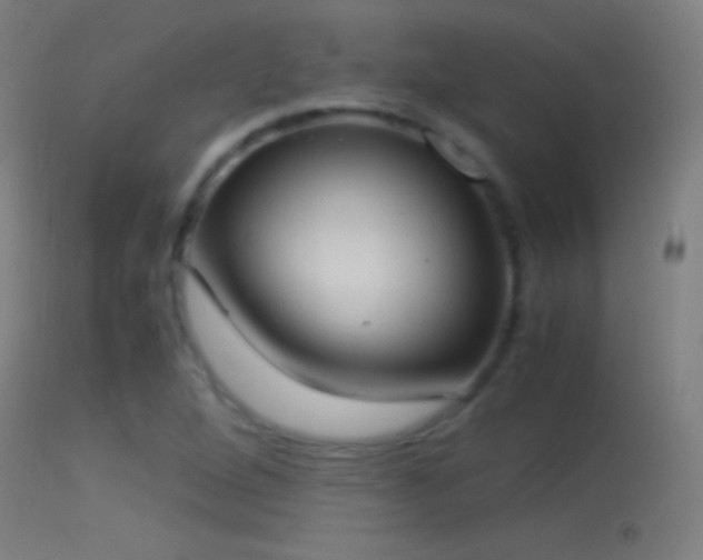 X0000114171264200910151628