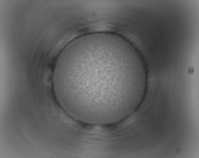 X0000114171265200910151628