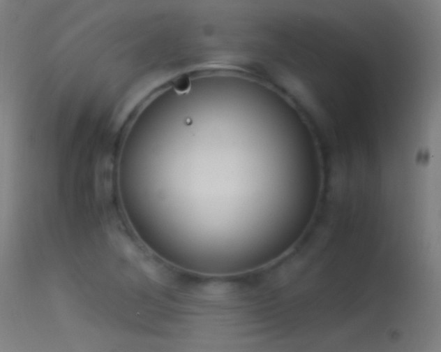 X0000114171268200910151628