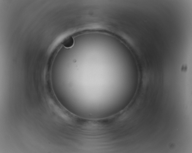 X0000114171270200910151628